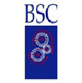 BSC BSC